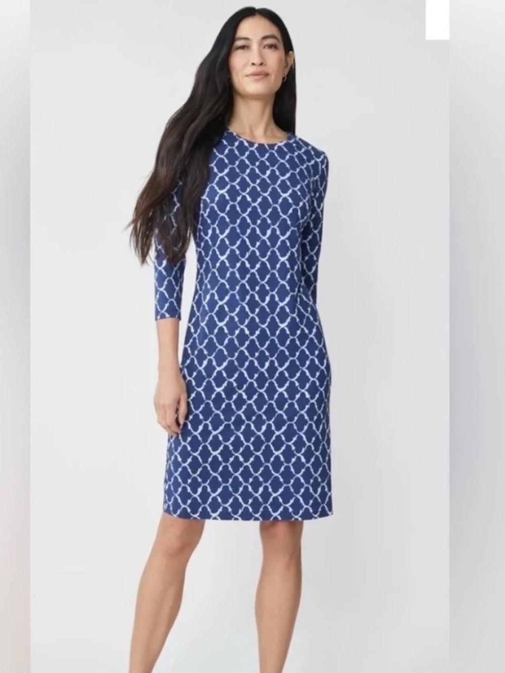 J. McLaughin Sophia Mega Palm Springs Dress Small Catalina Cloth 3/4 Sleeves NWT
